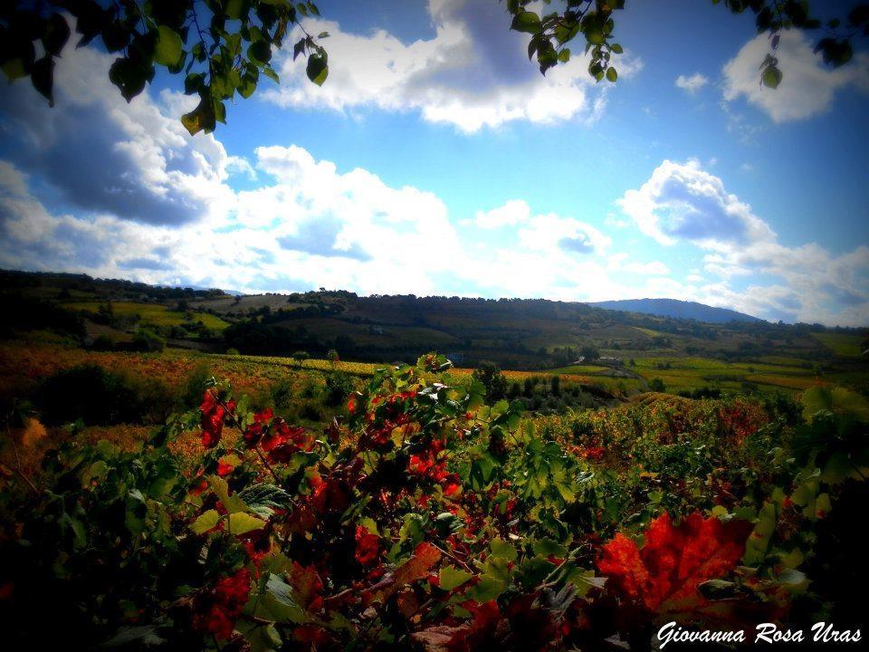 Bed and Breakfast Pietro&Graziella Sorgono Exterior foto